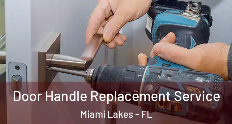  Door Handle Replacement Service Miami Lakes - FL
