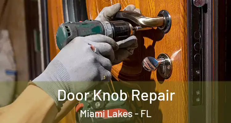  Door Knob Repair Miami Lakes - FL