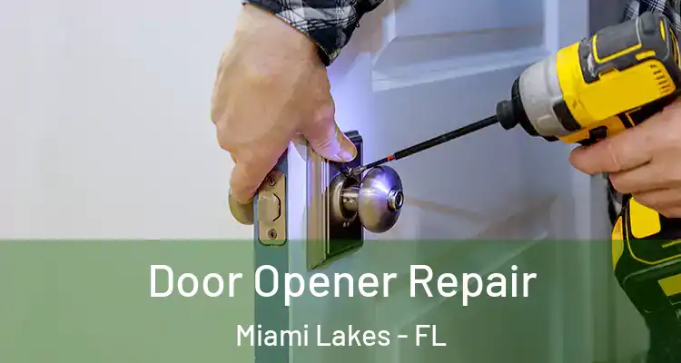  Door Opener Repair Miami Lakes - FL
