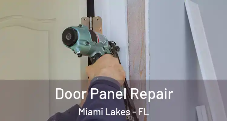  Door Panel Repair Miami Lakes - FL