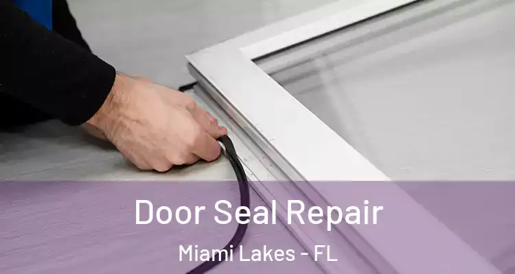  Door Seal Repair Miami Lakes - FL