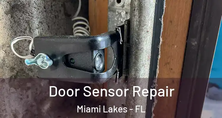  Door Sensor Repair Miami Lakes - FL