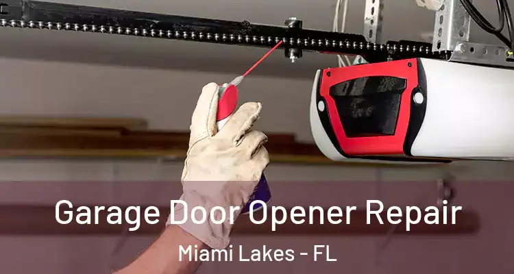  Garage Door Opener Repair Miami Lakes - FL