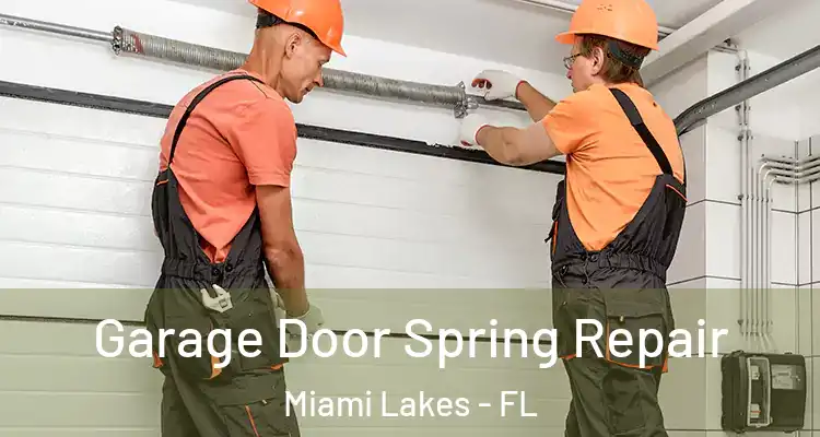  Garage Door Spring Repair Miami Lakes - FL