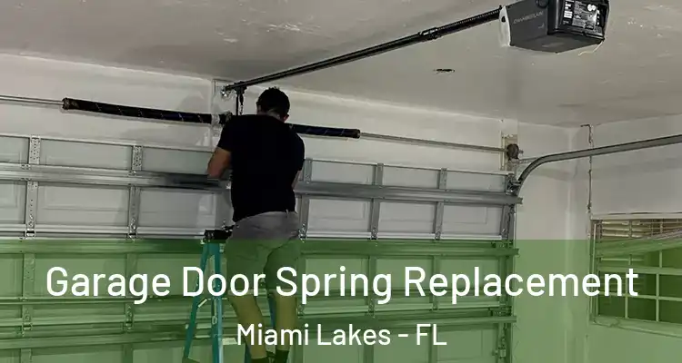  Garage Door Spring Replacement Miami Lakes - FL