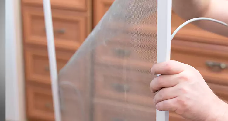 Privacy Mesh Screen Door Installation in Miami Lakes, FL
