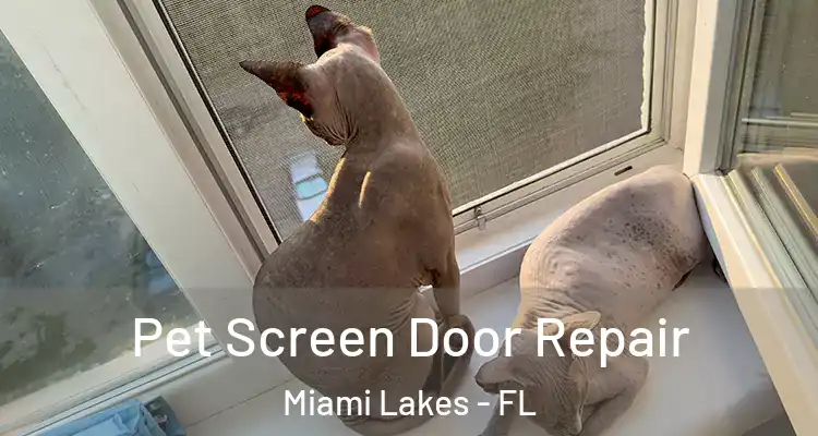  Pet Screen Door Repair Miami Lakes - FL