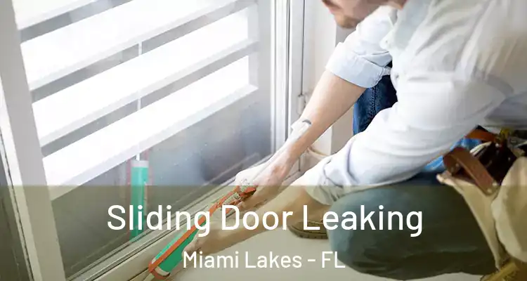  Sliding Door Leaking Miami Lakes - FL
